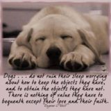 Dog-quotes-05