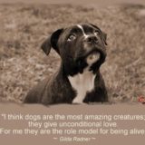 Dog-quotes-09
