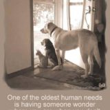 Dog-quotes-17