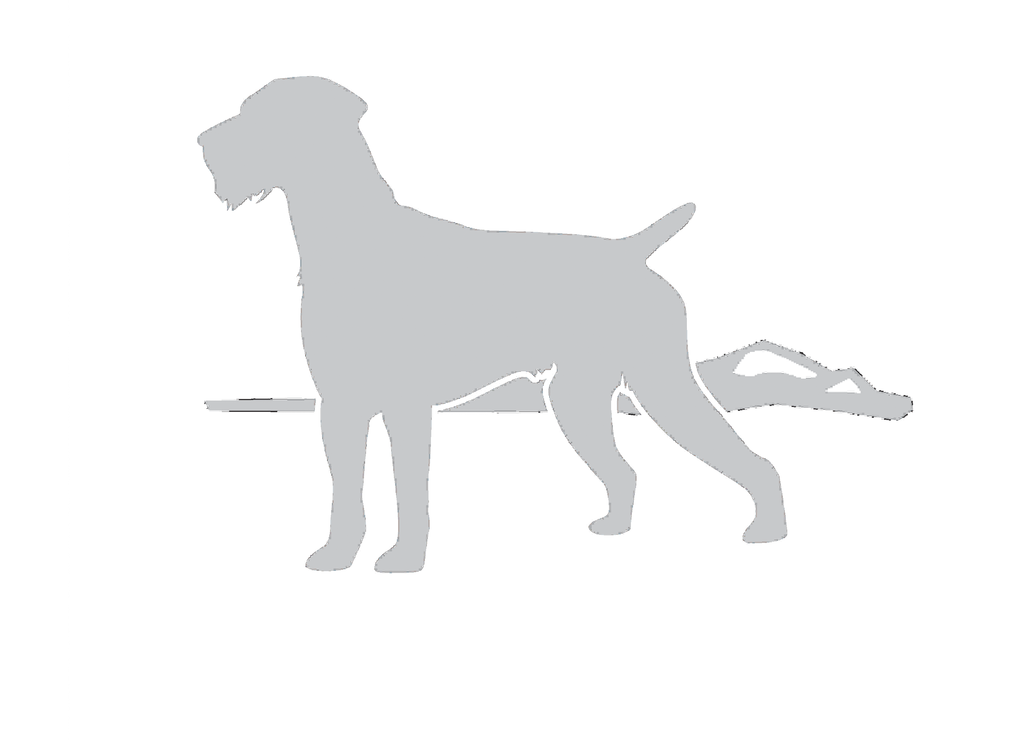 Windwalker Wirehairs